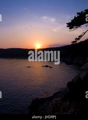 Sonnenuntergang über Wald und Felsen mit fliegenden Vögel Stockfoto