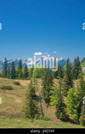 Heimmoseralm, Hinterwildalpen, Wildalpen, Alpen, Steiermark, Österreich Stockfoto