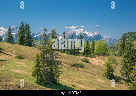 Heimmoseralm, Hinterwildalpen, Wildalpen, Alpen, Steiermark, Österreich Stockfoto