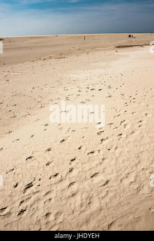 St. Peter-Ording Stockfoto