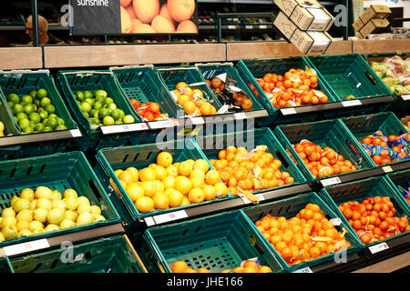 frische Zitrusfrüchte Gang in einem britischen Tesco Supermarkt Stockfoto