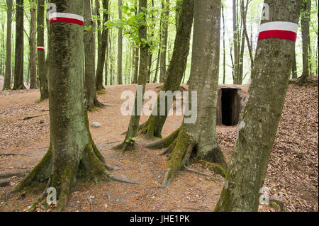 Coverted Eingang zum Bunker des Pommerschen Greif (Gryf Pomorski) polnischen antifaschistischen Widerstandsgruppe im Wald in Mirachowskie-, Polen. 20 Mai 2017 © Wojc Stockfoto