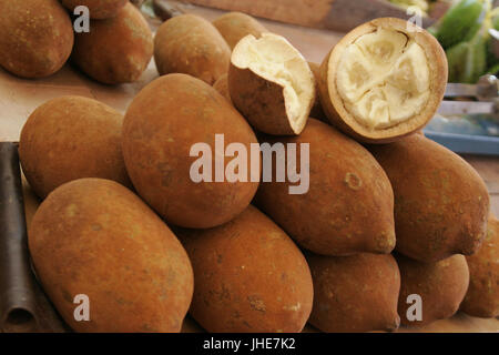 Obst, exotisch, Cupuaçu, Belém, Pará, Brasilien Stockfoto