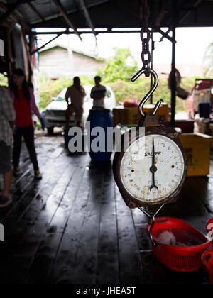 Fischmarkt in Sekinchan, Malaysia Stockfoto