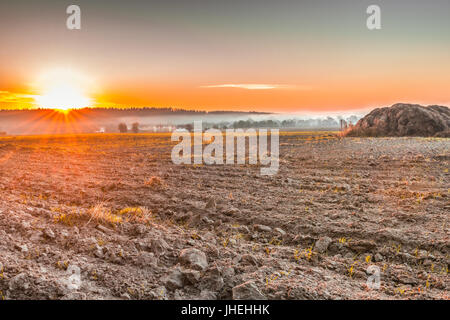 Nach der Ernte ein Feld in der Nähe von Kiew, Ukraine gepflügt. Nebel über dem Feld in den frühen Morgenstunden. Eine ländliche Landschaft mit leuchtenden Farben in der Morgendämmerung. Stockfoto