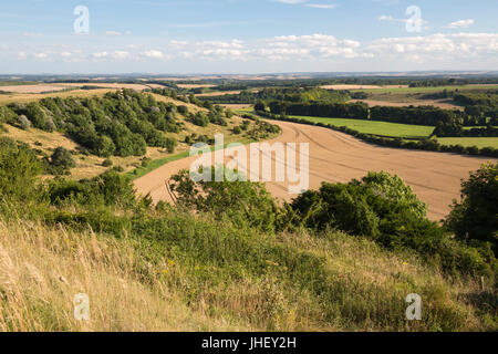 Blick über Sommer Weizenfelder von oben von Beacon Hill, in der Nähe von Highclere, Hampshire, England, Vereinigtes Königreich, Europa Stockfoto