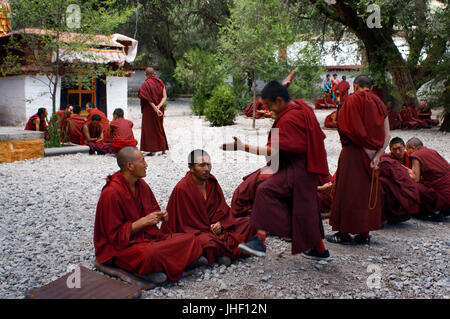 Mönche diskutieren im Rathaushof diskutieren im Kloster Sera, Lhasa, Tibet Stockfoto