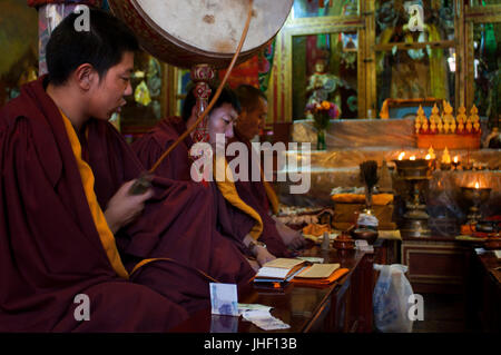 Mönche beten in das Kloster Tsepak Lhakhang, Lhasa, Tibet. Stockfoto