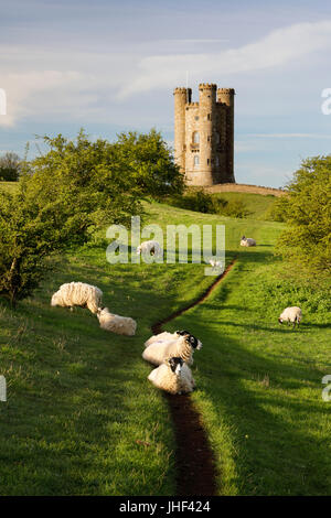 Broadway Tower und Schafe, Broadway, Cotswolds, Worcestershire, England, Vereinigtes Königreich, Europa Stockfoto