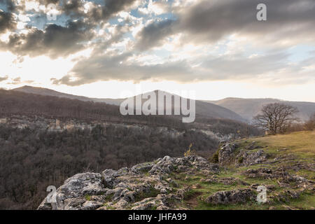 Einsamer Baum auf dem Berg über dem Abgrund in den Strahlen der Einstellung oder aufgehende Sonne. Adygea Berge. Stockfoto