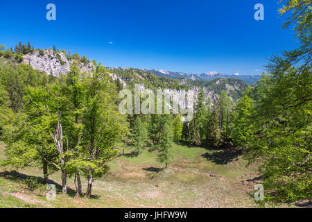 Heimmoseralm, Hinterwildalpen, Wildalpen, Alpen, Steiermark, Österreich Stockfoto