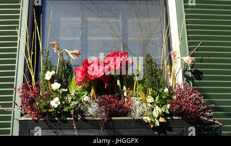 2015-Blumenkasten, Beacon Hill - Boston, MA - DSC04215 Stockfoto