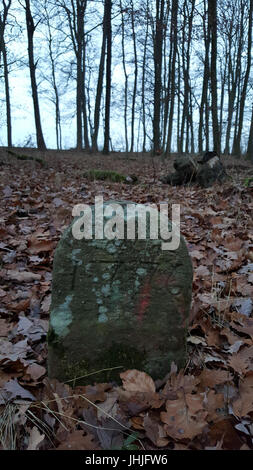 2016-12-22 Tauberbischofsheim Denkmale - 5 Stockfoto