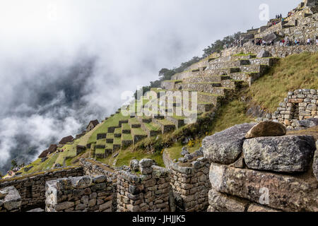 Terrassen am Inkaruinen Machu Picchu - Heiliges Tal, Peru Stockfoto