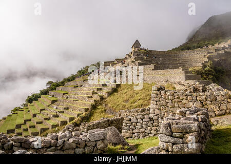 Terrassen am Inkaruinen Machu Picchu - Heiliges Tal, Peru Stockfoto