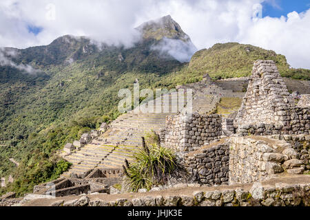 Terrassen am Inkaruinen Machu Picchu - Heiliges Tal, Peru Stockfoto