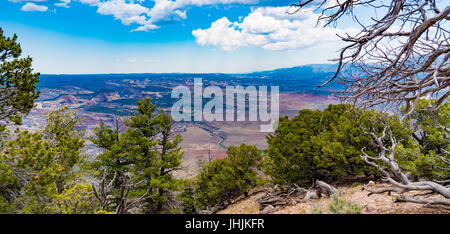 Der Blick aus dem Canyon Overlook im Dinosaur National Monument, Colorado Stockfoto