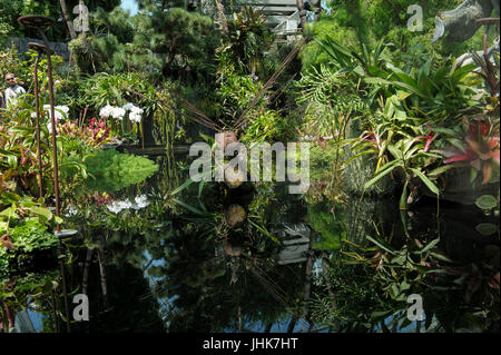 Metall-Skulptur Libelle im Teich, Flower Dome Gärten an der Bucht, Singapur Stockfoto