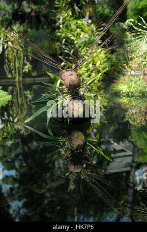 Metall-Skulptur Libelle im Teich, Flower Dome Gärten an der Bucht, Singapur Stockfoto