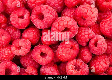 Himbeer-Textur-Hintergrund Stockfoto