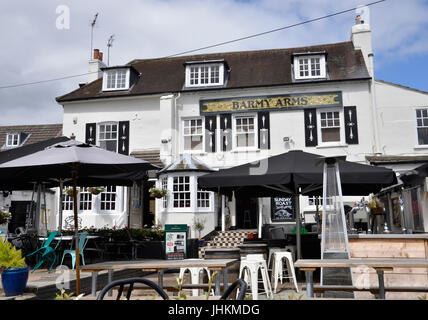 Die Barmy Arme Gasthaus an der Themse in Twickenham, London Stockfoto