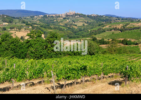Panoramablick über die mittelalterliche ummauerte Stadt San Gimignano (Toskana), Italien Stockfoto
