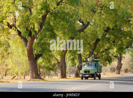 Bagan, Myanmar - 18. Februar 2016. Der örtliche Bus läuft auf Landstraße in Bagan, Myanmar. Bagan ist eine antike Stadt in Zentral-Myanmar (ehemals Burma), also Stockfoto