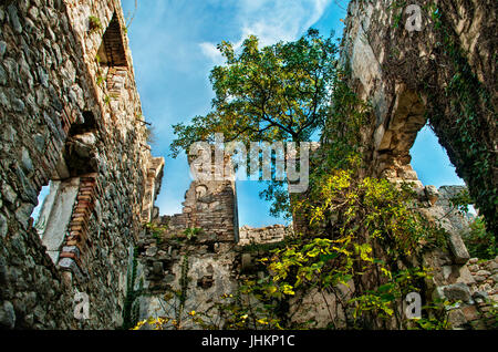 mittelalterliche Burg des Heiligen Giovanny Ruinen bedeckt mit Pflanzen, Kotor, Montenegro Stockfoto