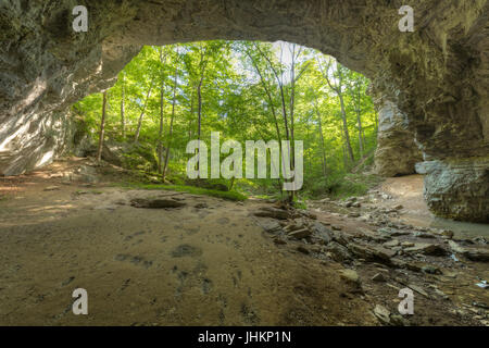 Höhle Öffnung in den Wald Stockfoto