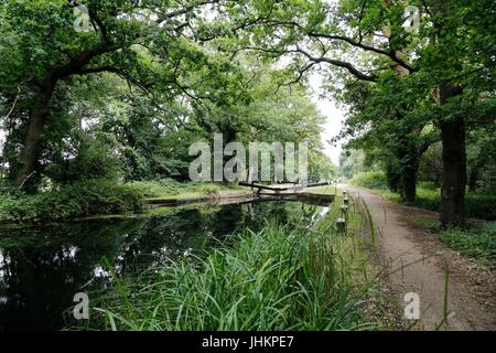 Basingstoke Canal ist ein britischer Kanal, abgeschlossen im Jahre 1794, gebaut um Basingstoke mit der Themse bei Weybridge über die Wey Navigation zu verbinden. Stockfoto