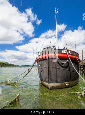Altes Boot an Pin Mill Suffolk. Stockfoto