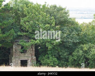 Peel Tower East Hill Braunton, 1857 für Thomas Mortimer von Franklyn Hütte gebaut. Kletterpflanzen bewachsenen Schutt 3-stufige Turm mit ersten Stock nach hinten. Stockfoto