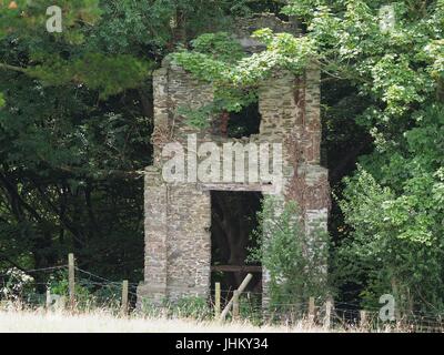 Peel Tower East Hill Braunton, 1857 für Thomas Mortimer von Franklyn Hütte gebaut. Kletterpflanzen bewachsenen Schutt 3-stufige Turm mit ersten Stock nach hinten. Stockfoto