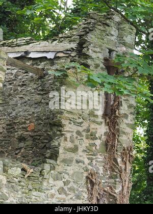 Peel Tower East Hill Braunton, 1857 für Thomas Mortimer von Franklyn Hütte gebaut. Kletterpflanzen bewachsenen Schutt 3-stufige Turm mit ersten Stock nach hinten. Stockfoto