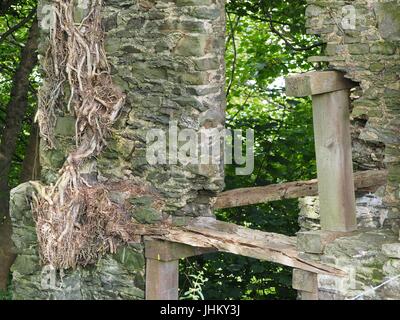 Peel Tower East Hill Braunton, 1857 für Thomas Mortimer von Franklyn Hütte gebaut. Kletterpflanzen bewachsenen Schutt 3-stufige Turm mit ersten Stock nach hinten. Stockfoto