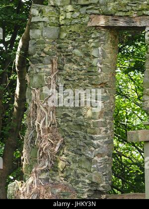 Peel Tower East Hill Braunton, 1857 für Thomas Mortimer von Franklyn Hütte gebaut. Kletterpflanzen bewachsenen Schutt 3-stufige Turm mit ersten Stock nach hinten. Stockfoto