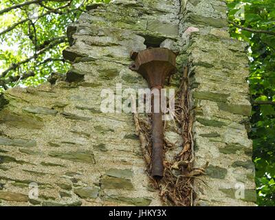 Peel Tower East Hill Braunton, 1857 für Thomas Mortimer von Franklyn Hütte gebaut. Kletterpflanzen bewachsenen Schutt 3-stufige Turm mit ersten Stock nach hinten. Stockfoto