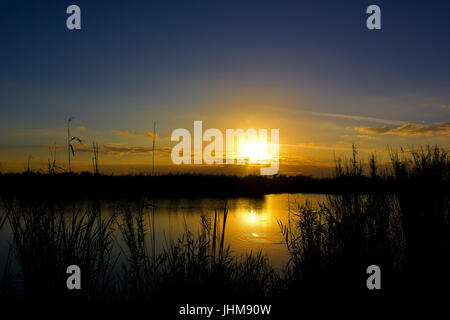 Ein buntes Sonnenuntergang endet, einen warmen Sommertag in die Everglades. Am Refugio Loxahatchee fotografiert. Stockfoto