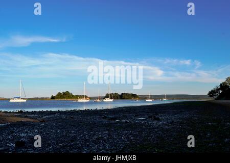 Wareham, Dorset, UK. 14. Juli 2017. Arne Natur Reservat. Poole Hafen und Wareham an einem warmen und sonnigen Abend. Bildnachweis: Ajit Wick/Alamy Live-Nachrichten Stockfoto