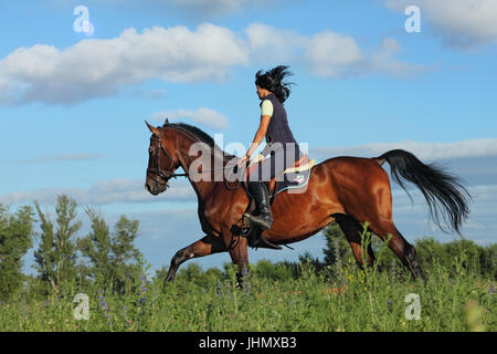 Mädchen auf Reiten durch Abend Wiese zu pflegen Stockfoto