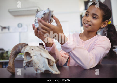 Glücklich elementare Student tierischen Schädel von Rezeption und Wissenschaftslabor untersuchen Stockfoto