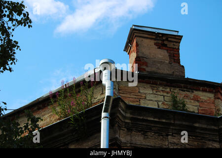 Weidenröschen Blüten auf dem Dach des historischen Backsteingebäude Ekaterinburgverder, Gattschina. Das Gebäude wurde im Jahre 1796 gebaut. Allmähliche Zerstörung. Stockfoto