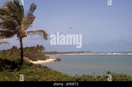 Blick auf die hohe Wand; Pontal da Camboa; Pernambuco; Brazilien Stockfoto