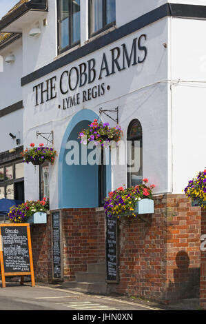 Die Cobb Arms Pub B & B und das Restaurant bei Lyme Regis, Dorset im Juli Stockfoto