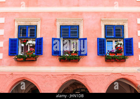 Sibiu,Romania.Windows mit Blumen im historischen Zentrum. Stockfoto