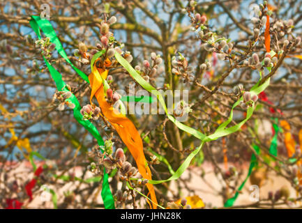 bunte Atlas Bänder an blühenden Weide auf sonnigen Wundy Frühlingstag Stockfoto