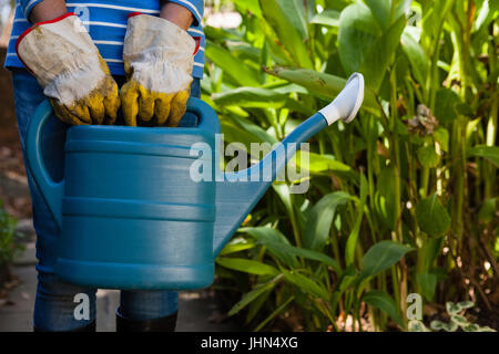 Mittelteil der älteren Frau mit Gießkanne gegen Pflanzen im Garten Stockfoto