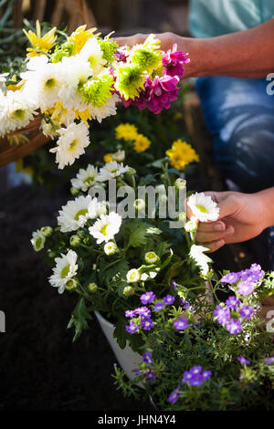 Ältere Frau mit Enkelin Rupfen verschiedenen Blumen im Garten beschnitten Stockfoto