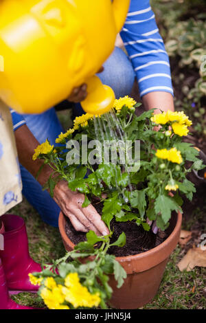 Bild des Mädchens und Großmutter gelbe Blumen im Garten gießen beschnitten Stockfoto