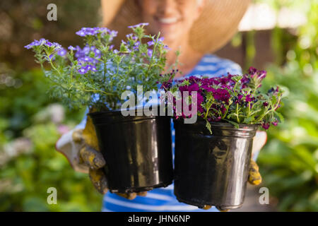 Mittelteil des senior Woman Holding Blume Töpfe im Hinterhof Stockfoto